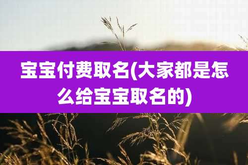 宝宝付费取名(大家都是怎么给宝宝取名的)