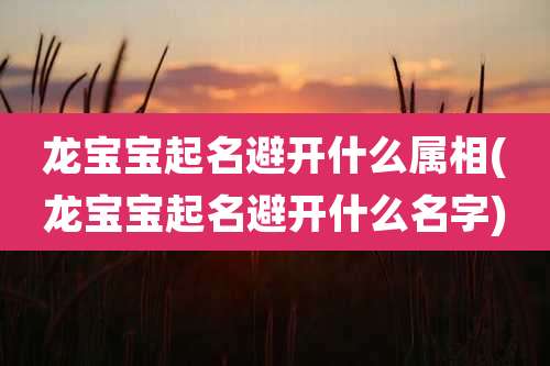龙宝宝起名避开什么属相(龙宝宝起名避开什么名字)