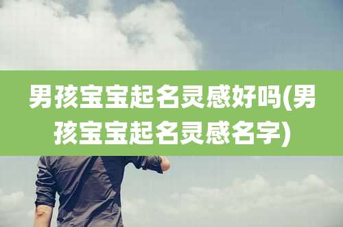 男孩宝宝起名灵感好吗(男孩宝宝起名灵感名字)