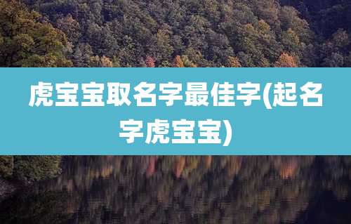 虎宝宝取名字最佳字(起名字虎宝宝)