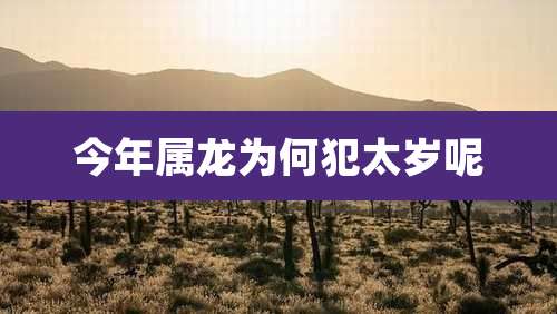 今年属龙为何犯太岁呢