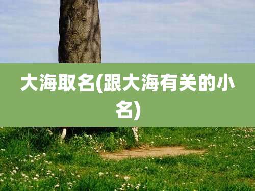 大海取名(跟大海有关的小名)