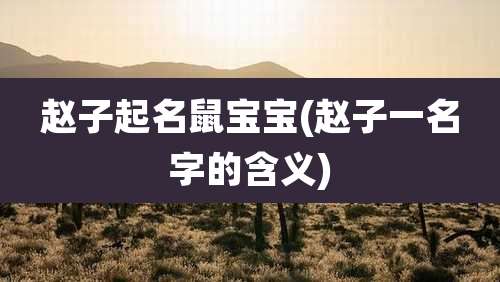赵子起名鼠宝宝(赵子一名字的含义)