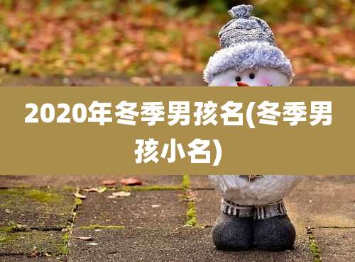 2020年冬季男孩名(冬季男孩小名)