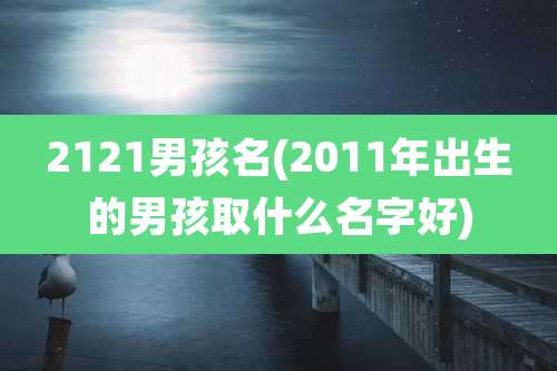 2121男孩名(2011年出生的男孩取什么名字好)