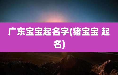 广东宝宝起名字(猪宝宝 起名)