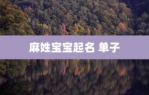麻姓宝宝起名 单子