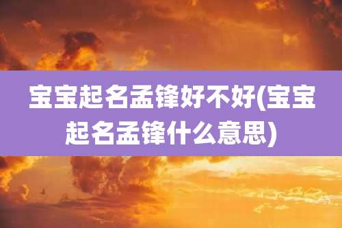 宝宝起名孟锋好不好(宝宝起名孟锋什么意思)