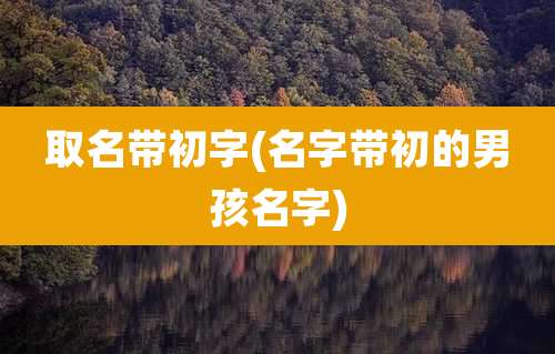 取名带初字(名字带初的男孩名字)
