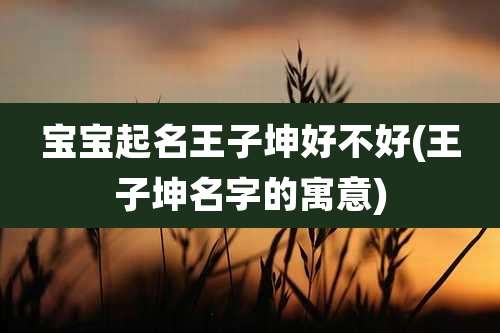 宝宝起名王子坤好不好(王子坤名字的寓意)