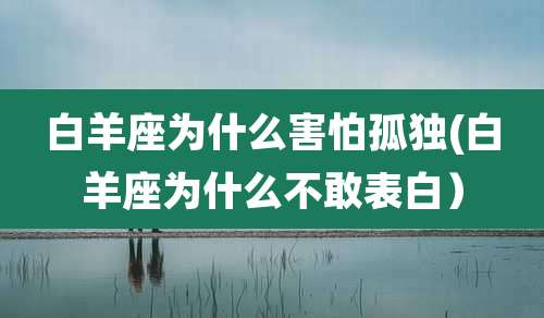白羊座为什么害怕孤独(白羊座为什么不敢表白)