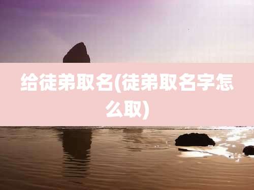 给徒弟取名(徒弟取名字怎么取)