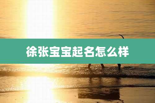 徐张宝宝起名怎么样