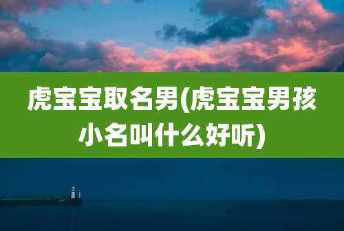 虎宝宝取名男(虎宝宝男孩小名叫什么好听)