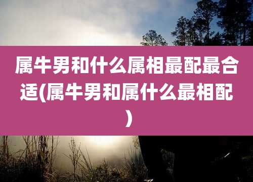 属牛男和什么属相最配最合适(属牛男和属什么最相配)