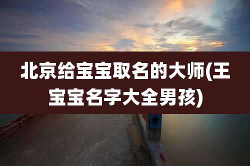 北京给宝宝取名的大师(王宝宝名字大全男孩)