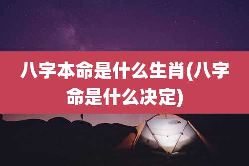 八字本命是什么生肖(八字命是什么决定)
