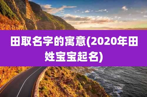田取名字的寓意(2020年田姓宝宝起名)