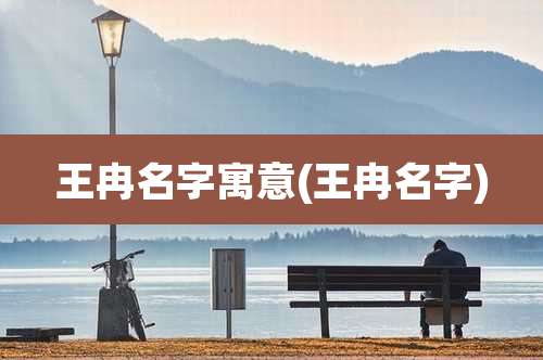 王冉名字寓意(王冉名字)