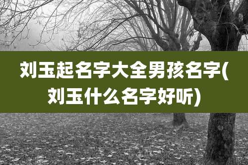刘玉起名字大全男孩名字(刘玉什么名字好听)