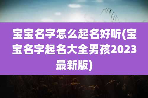 宝宝名字怎么起名好听(宝宝名字起名大全男孩2023最新版)