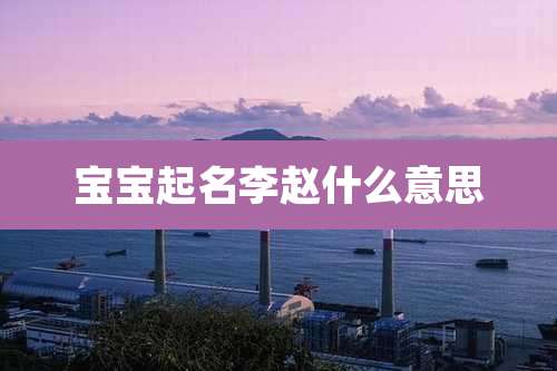 宝宝起名李赵什么意思