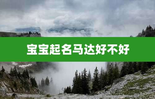 宝宝起名马达好不好