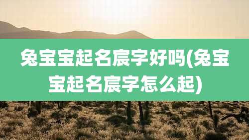 兔宝宝起名宸字好吗(兔宝宝起名宸字怎么起)