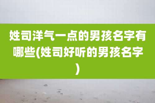 姓司洋气一点的男孩名字有哪些(姓司好听的男孩名字)
