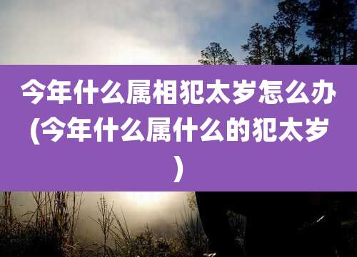 今年什么属相犯太岁怎么办(今年什么属什么的犯太岁)