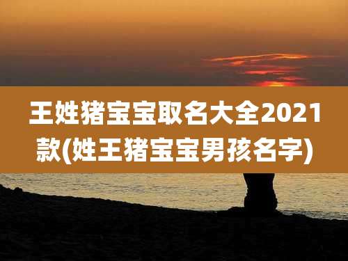 王姓猪宝宝取名大全2021款(姓王猪宝宝男孩名字)