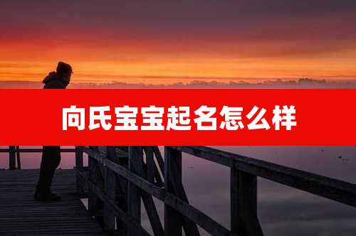 向氏宝宝起名怎么样