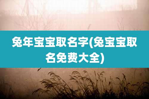 兔年宝宝取名字(兔宝宝取名免费大全)