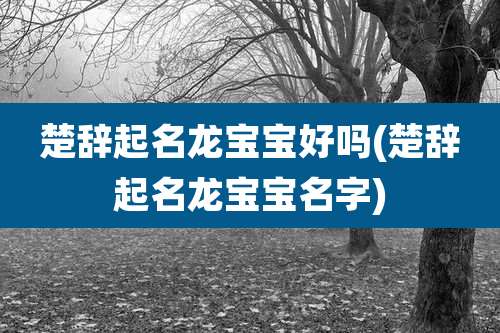 楚辞起名龙宝宝好吗(楚辞起名龙宝宝名字)