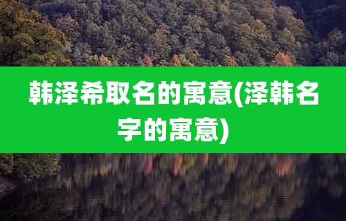 韩泽希取名的寓意(泽韩名字的寓意)