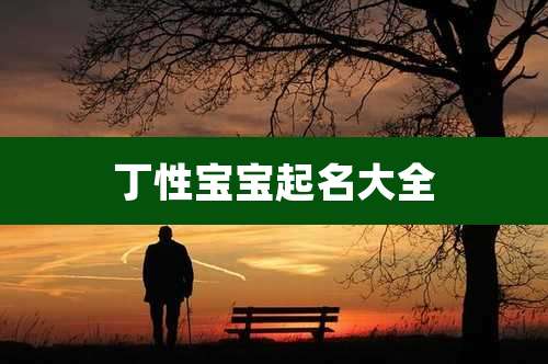 丁性宝宝起名大全