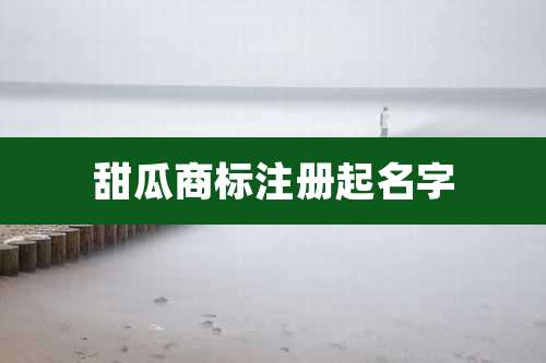 甜瓜商标注册起名字