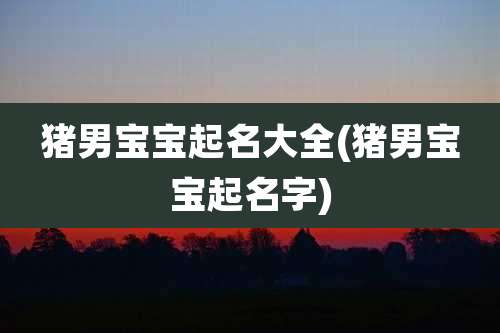 猪男宝宝起名大全(猪男宝宝起名字)