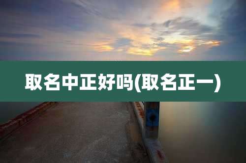 取名中正好吗(取名正一)
