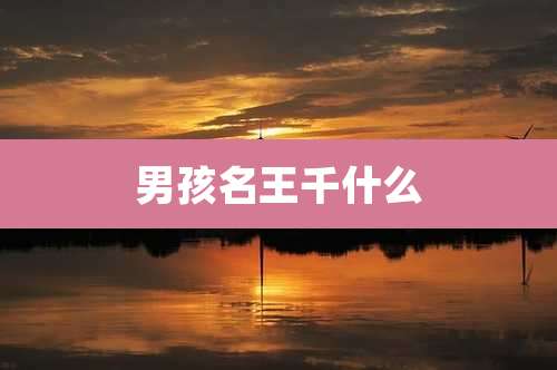 男孩名王千什么