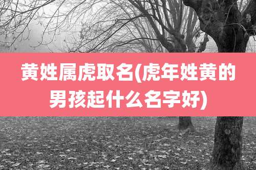 黄姓属虎取名(虎年姓黄的男孩起什么名字好)