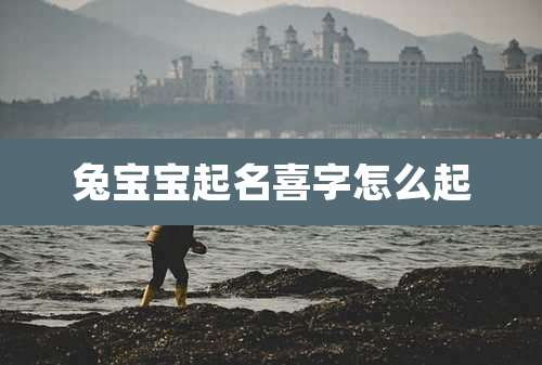 兔宝宝起名喜字怎么起