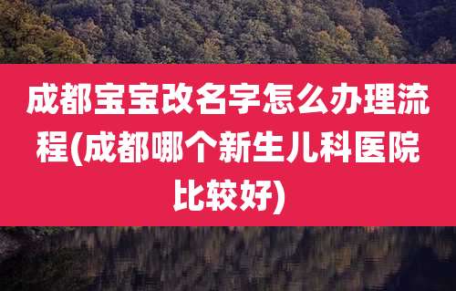 成都宝宝改名字怎么办理流程(成都哪个新生儿科医院比较好)