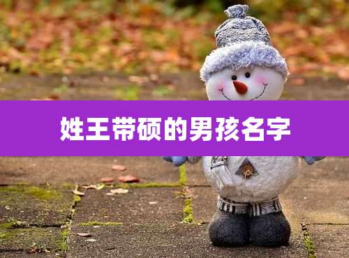 姓王带硕的男孩名字