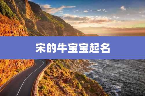 宋的牛宝宝起名