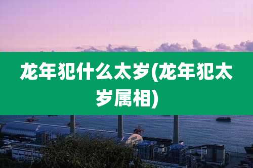 龙年犯什么太岁(龙年犯太岁属相)