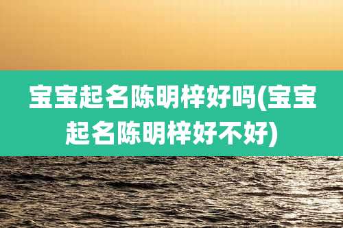 宝宝起名陈明梓好吗(宝宝起名陈明梓好不好)