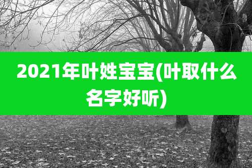 2021年叶姓宝宝(叶取什么名字好听)