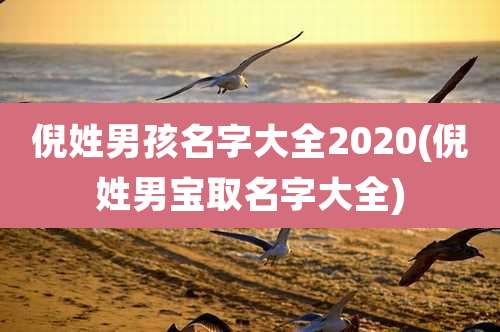 倪姓男孩名字大全2020(倪姓男宝取名字大全)