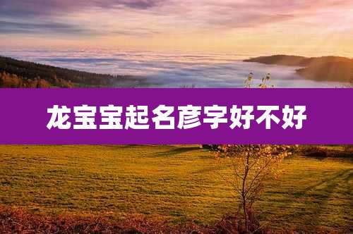 龙宝宝起名彦字好不好